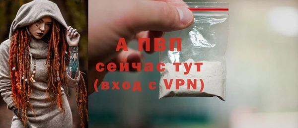 ПСИЛОЦИБИНОВЫЕ ГРИБЫ Липки