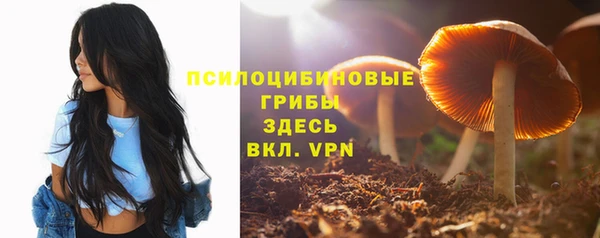 a pvp Александровское