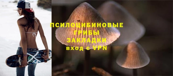 прущая мука Кулебаки