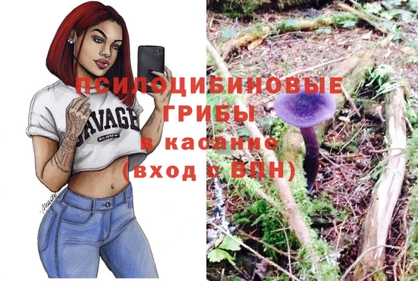 прущая мука Кулебаки