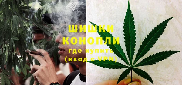 ПСИЛОЦИБИНОВЫЕ ГРИБЫ Липки