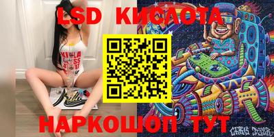 прущие грибы Обнинск