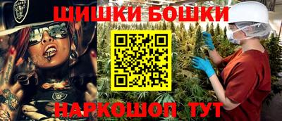 прущие грибы Обнинск