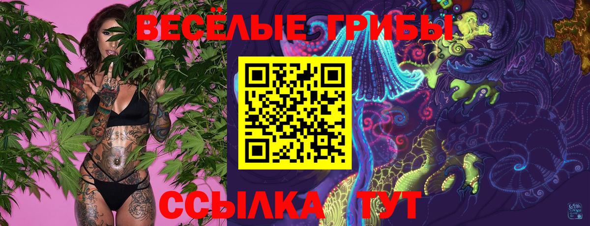 Псилоцибиновые грибы Cubensis  Вход с VPN  Сланцы 