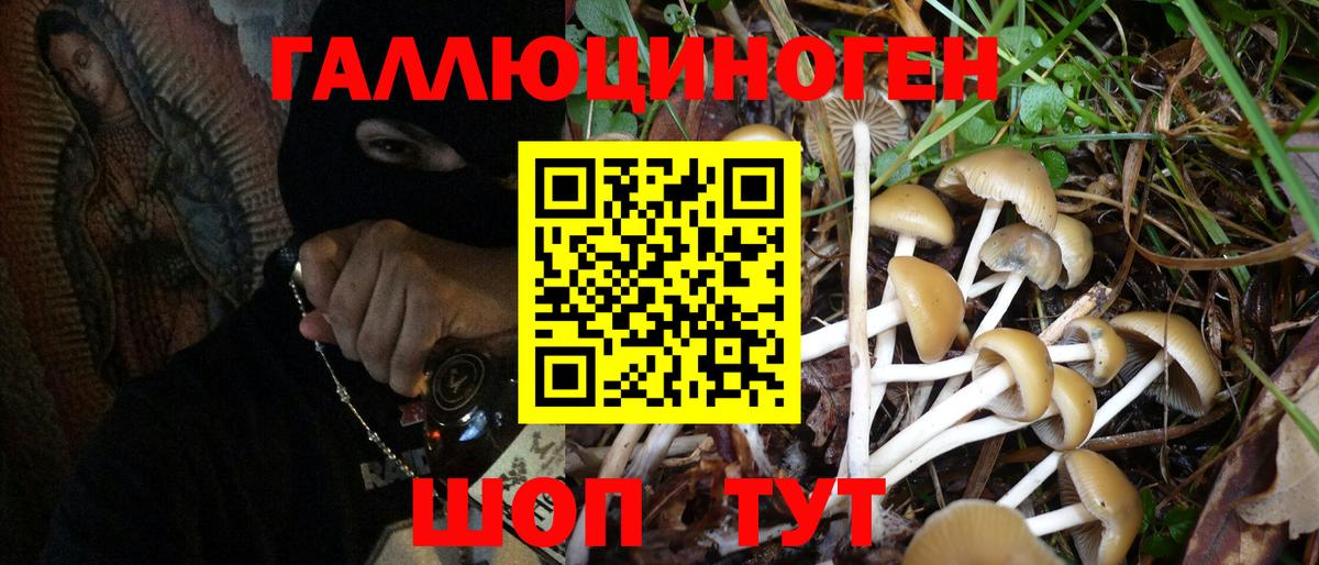 Псилоцибиновые грибы мухоморы Сланцы